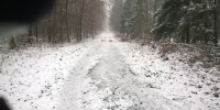 28.12.2014