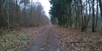 22.02.2015