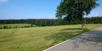 WP_20150712_005