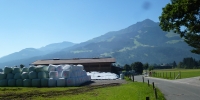 Blick zurück zum Kitzbühler Horn